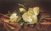 Martin Johnson Heade Magnolia Germany oil painting art